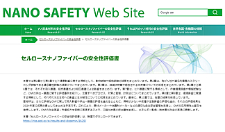 Nanosafety Web Siteサイトホームページ03